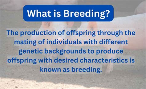 breeding sex